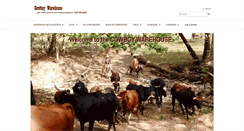Desktop Screenshot of cowboywarehouse.com